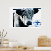 Highland Blue Poster (Keuken)