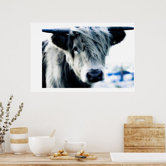 Highland Blue Poster (Keuken)