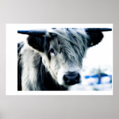 Highland Blue Poster (Voorkant)