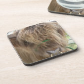 Highland Bull onderzetter (Linkerzijde)