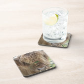 Highland Bull onderzetter (Rechterzijde)