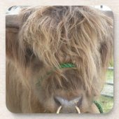 Highland Bull onderzetter (Voorkant)