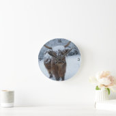 Highland Bull  Ronde Klok (Huis)