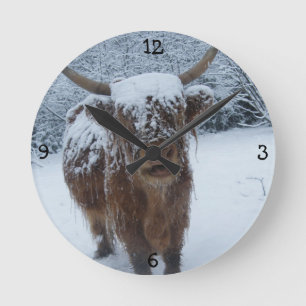 Highland Bull  Ronde Klok