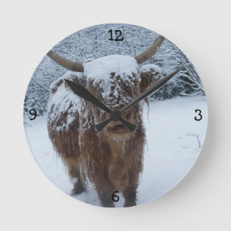 Highland Bull  Ronde Klok