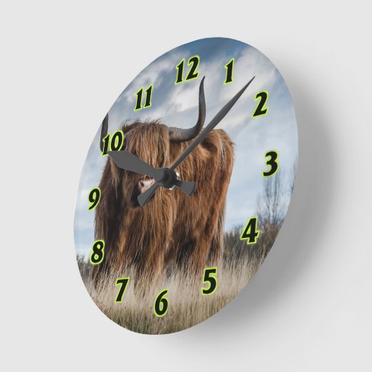 Highland Bull Ronde Klok (Hoek)