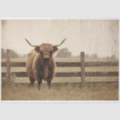 Highland Bull  stijl vee decoupage Tissuepapier (Voorkant)