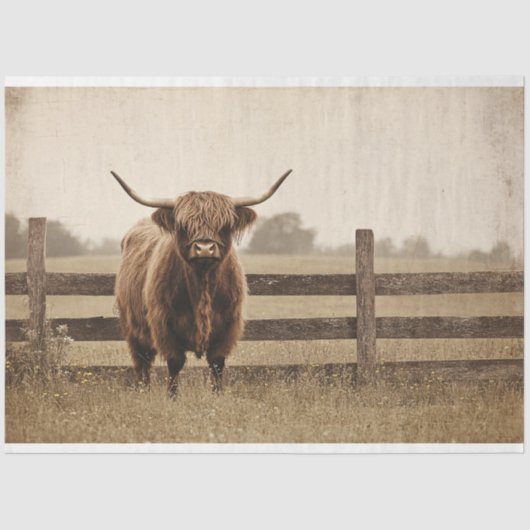 Highland Bull  stijl vee decoupage Tissuepapier (Voorkant)