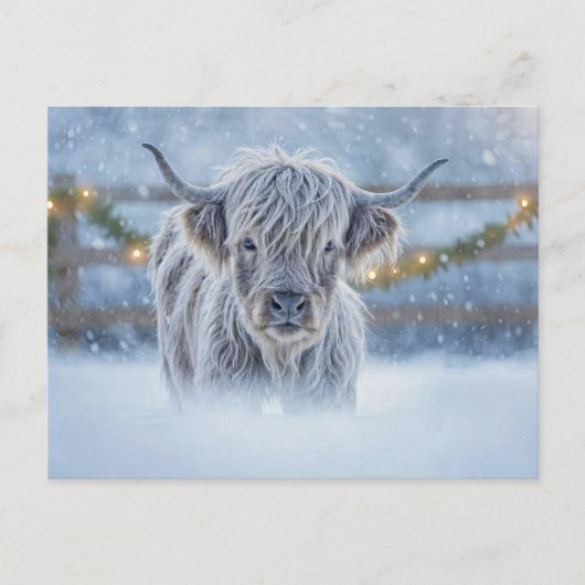Highland Calf in Snow Christmas Holiday Briefkaart (Voorkant)