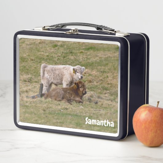 Highland Calves Metalen Lunchbox (In situ)