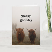 Highland Cattle Birthday Kaart (Voorkant)