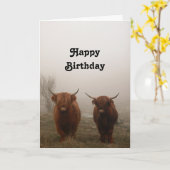 Highland Cattle Birthday Kaart (Gele Bloem)