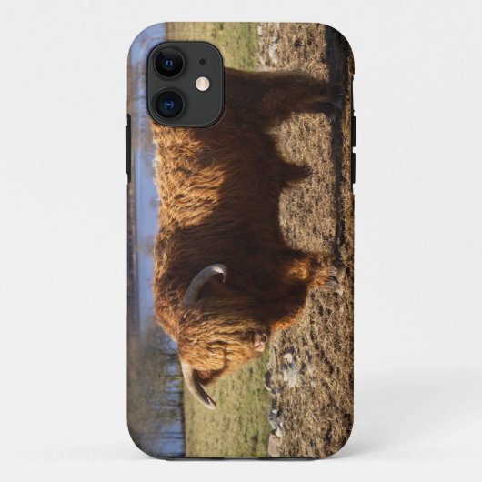 Highland Cattle Bull, Schotland Case-Mate iPhone Case (Achterkant)