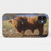 Highland Cattle Bull, Schotland Case-Mate iPhone Case (Achterkant (horizontaal))