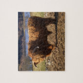 Highland Cattle Bull, Schotland Legpuzzel (Verticaal)