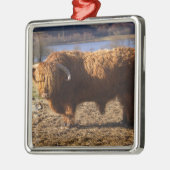 Highland Cattle Bull, Schotland Metalen Ornament (Links)