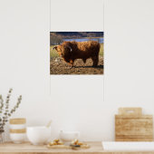 Highland Cattle Bull, Schotland Poster (Keuken)