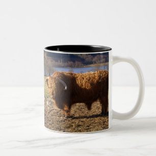 Highland Cattle Bull, Schotland Tweekleurige Koffiemok