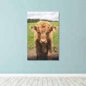 Highland Cattle calf, bij Dufftown Canvas Afdruk (Insitu (Houten vloer))