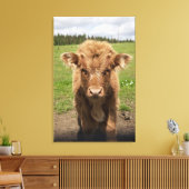 Highland Cattle calf, bij Dufftown Canvas Afdruk (Insitu (Woonkamer))