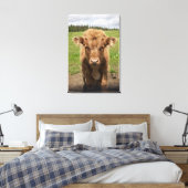 Highland Cattle calf, bij Dufftown Canvas Afdruk (Insitu (Slaapkamer))