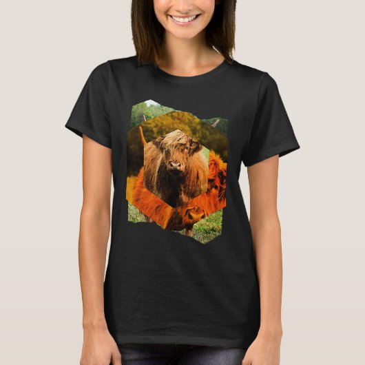 Highland Cattle Cow Highland Cattle Highland Cattl T-shirt (Voorkant)