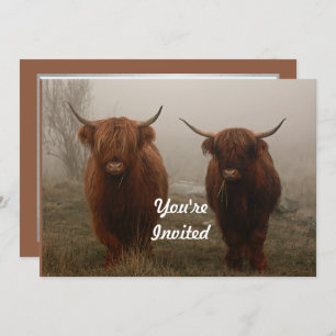 Highland Cattle Fog Birthday Kaart