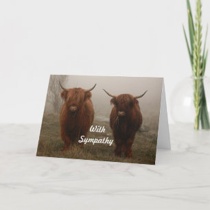 Highland Cattle Fog Fotosympathie Kaart