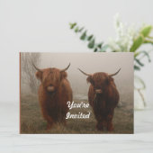 Highland Cattle Fog Fotoverjaardag Kaart (Staand voorkant)
