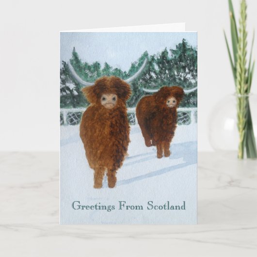 Highland Cattle in de winter Feestdagen Kaart (Voorkant)