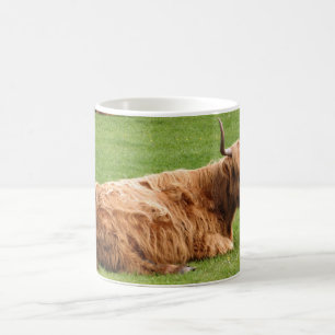 Highland Cattle Koffiemok