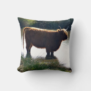 Highland Cattle Kussen
