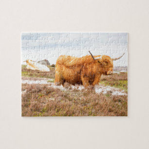 Highland Cattle Legpuzzel