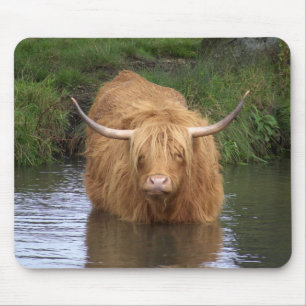 Highland Cattle Muismat