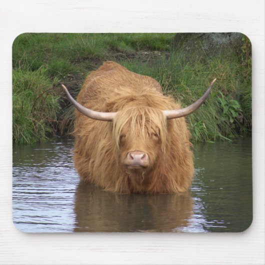 Highland Cattle Muismat (Voorkant)