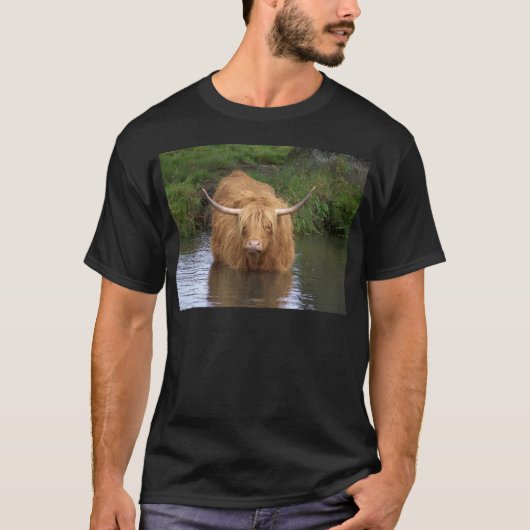 Highland Cattle T-shirt (Voorkant)