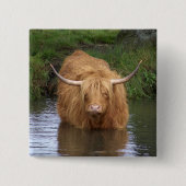 Highland Cattle Vierkante Button 5,1 Cm (Voorkant)