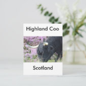 Highland Coo Briefkaart (Staand voorkant)