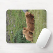 Highland Coo mousepad Muismat (Met muis)