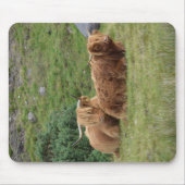 Highland Coo mousepad Muismat (Voorkant)