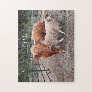 Highland Coos en Sheep Jigzaag Puzzle Legpuzzel