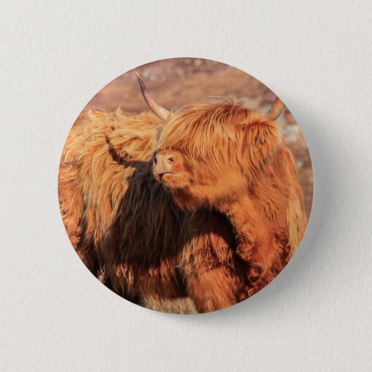 Highland Cow Button Badge (Voorkant)