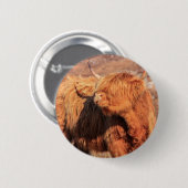 Highland Cow Button Badge (Voorkant /achterkant)