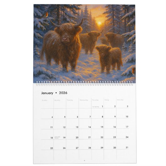 Highland Cow Calendar Kalender (Jan 2026)