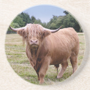 Highland Cow-coaster Zandsteen Onderzetter