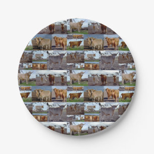Highland Cow-fotocollage, papieren borden Bordje