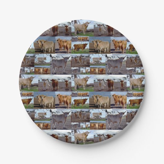 Highland Cow-fotocollage, papieren borden Bordje (Voorkant)