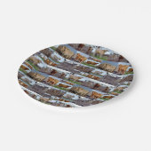 Highland Cow-fotocollage, papieren borden Bordje (Gekanteld)