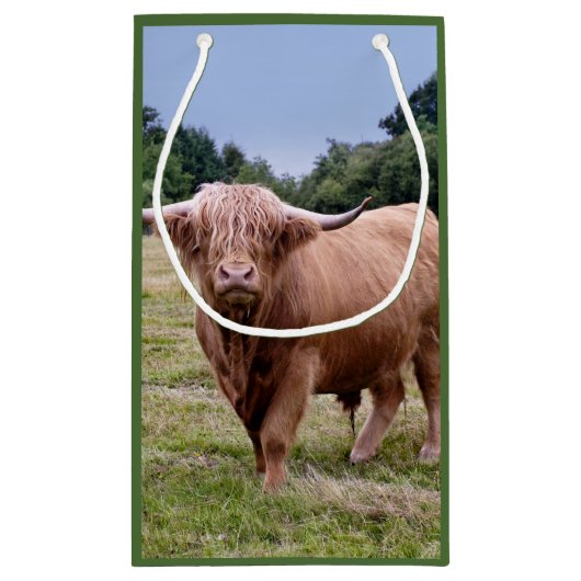 Highland Cow Gift Bag Klein Cadeauzakje (Achterkant)