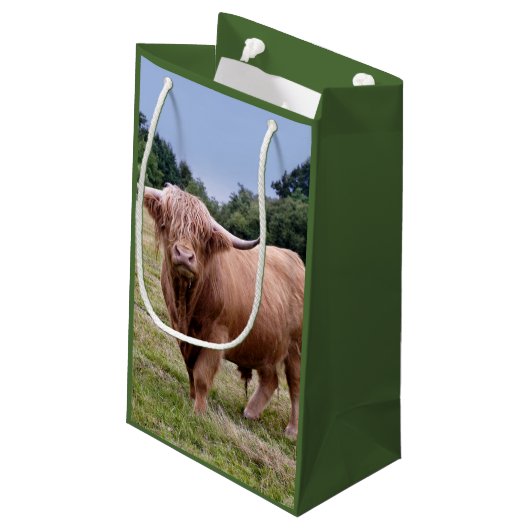 Highland Cow Gift Bag Klein Cadeauzakje (Achterkant Gekanteld)